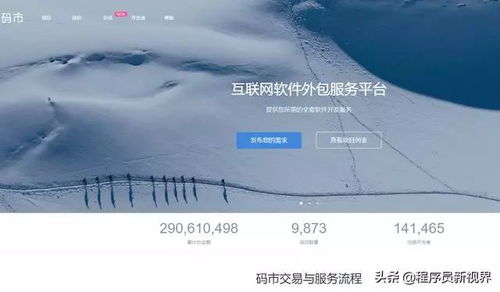 碼市平臺(tái)接單指南 CSDN軟件開發(fā)者的高效變現(xiàn)路徑